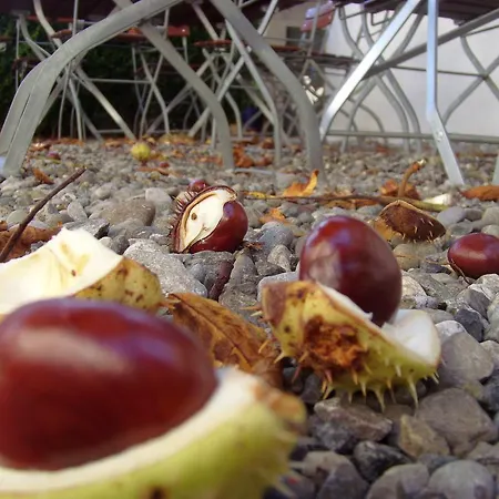 & Restaurant Engel 3*