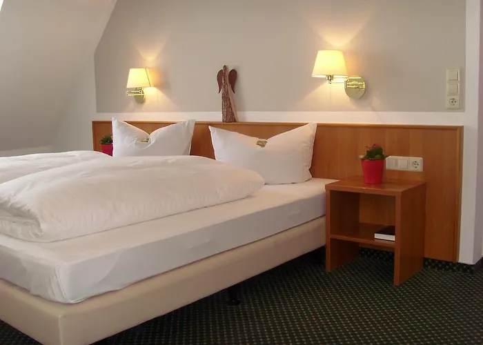 Hotel Hotel&restaurant Engel 3*