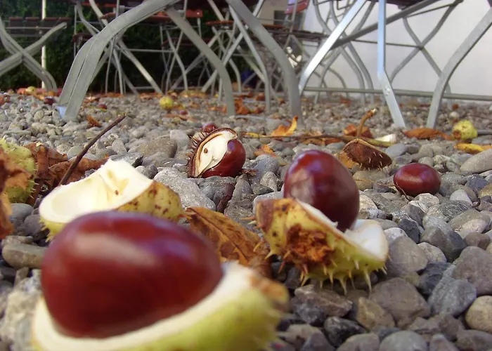 Hotel&restaurant Engel 3*